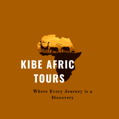 Kibe Afric Tours